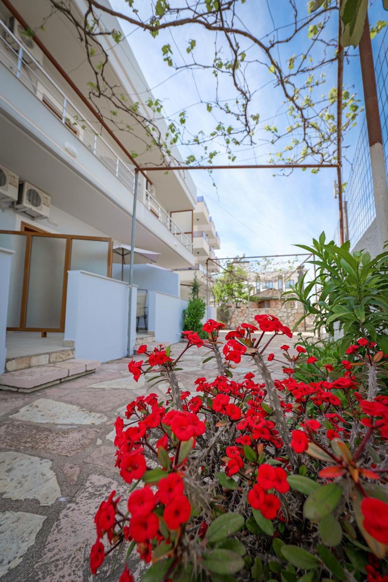 Guest House Moonlight Ksamil Exteriér fotografie